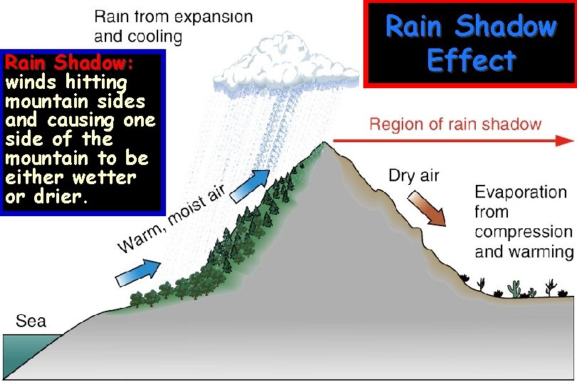 Rain Shadow: winds hitting mountain sides and causing one side of the mountain to Rain Shadow: winds hitting mountain sides and causing one side of the mountain to