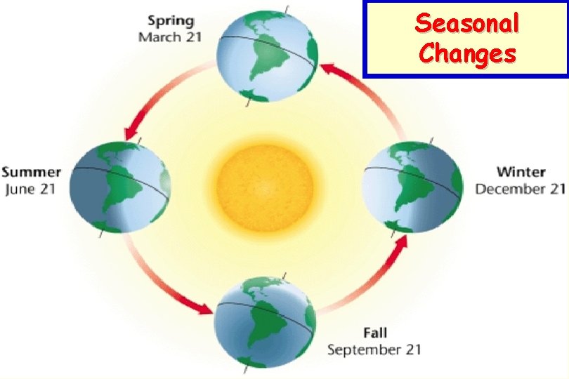 Seasonal Changes Seasonal Changes