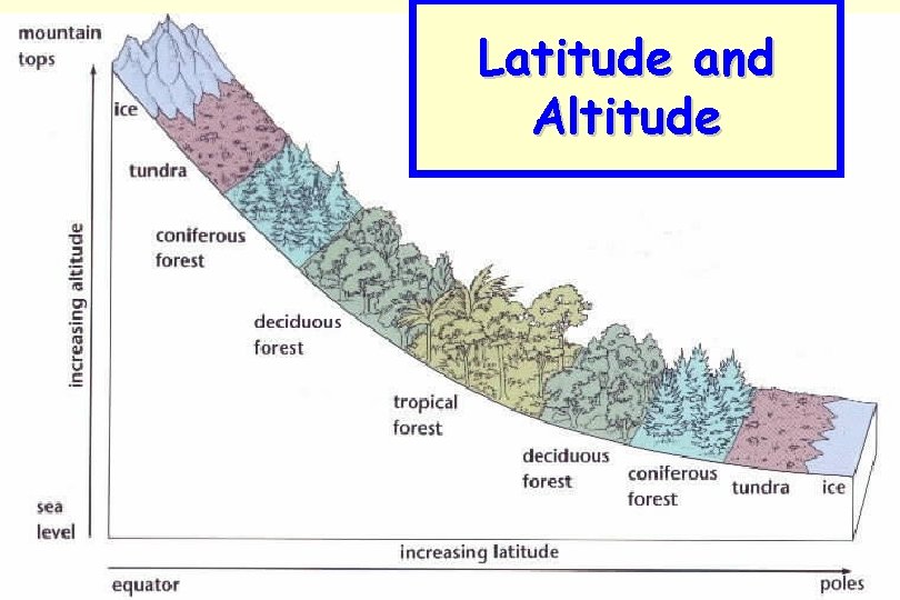Latitude and Altitude Latitude and Altitude