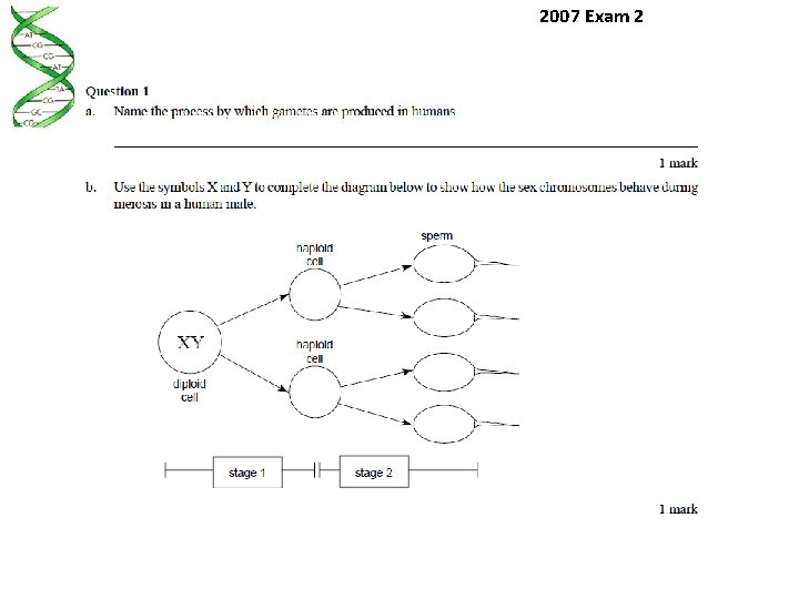 2007 Exam 2 