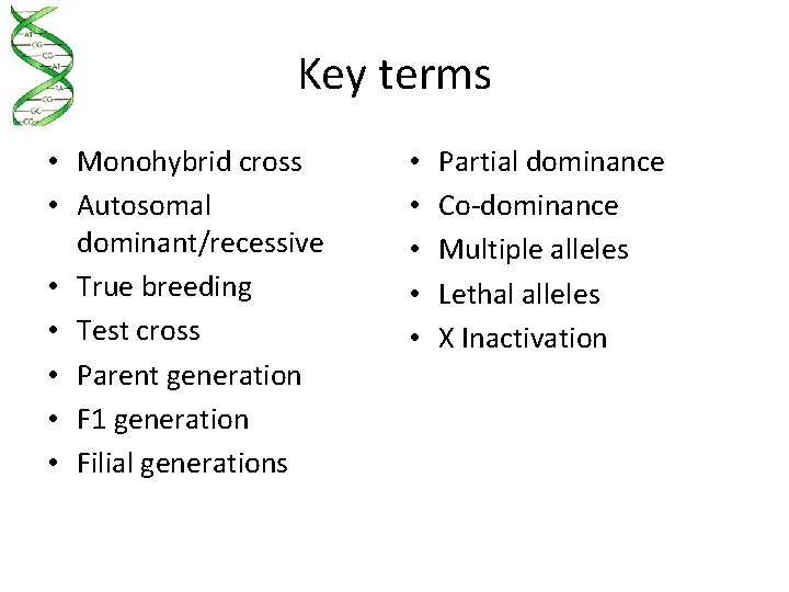 Key terms • Monohybrid cross • Autosomal dominant/recessive • True breeding • Test cross