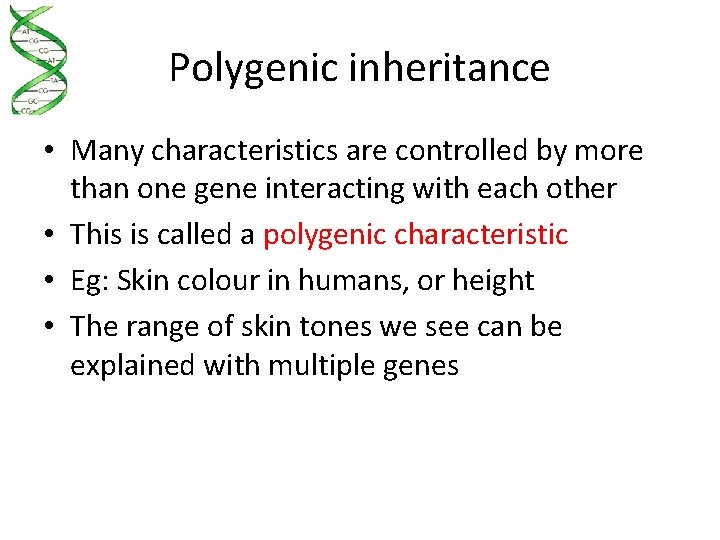 Polygenic inheritance • Many characteristics are controlled by more than one gene interacting with