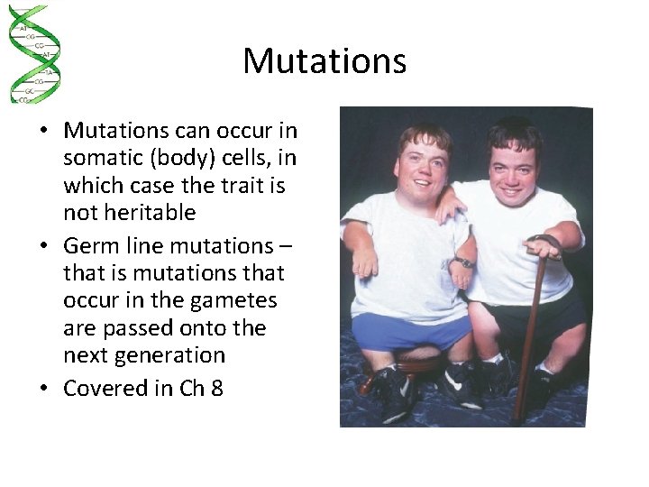 Mutations • Mutations can occur in somatic (body) cells, in which case the trait