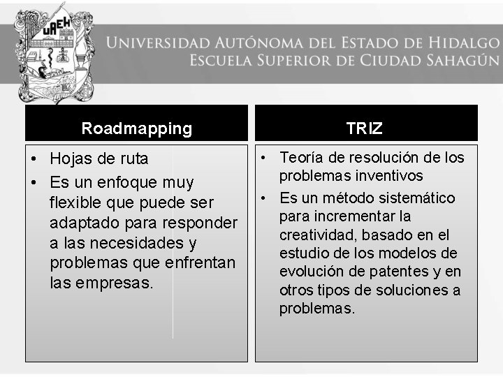 Roadmapping TRIZ • Hojas de ruta • Es un enfoque muy flexible que puede
