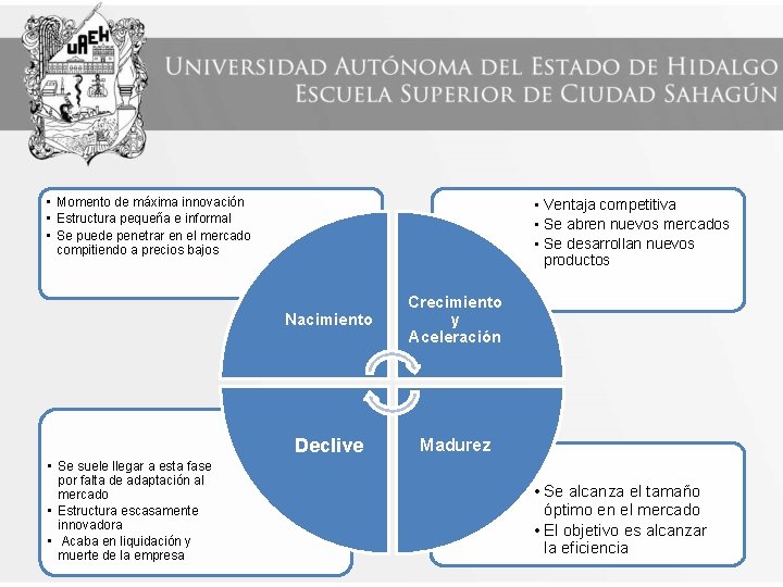  • Momento de máxima innovación • Estructura pequeña e informal • Se puede