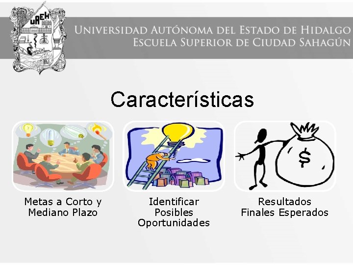 Características Metas a Corto y Mediano Plazo Identificar Posibles Oportunidades Resultados Finales Esperados 