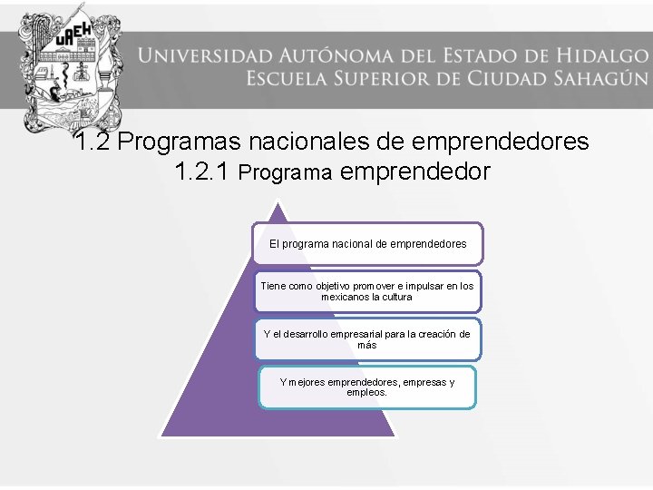 1. 2 Programas nacionales de emprendedores 1. 2. 1 Programa emprendedor El programa nacional