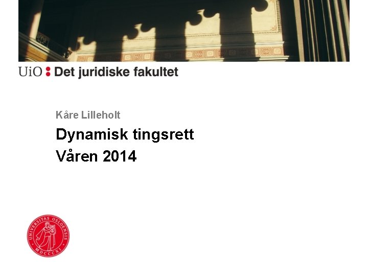 Kåre Lilleholt Dynamisk tingsrett Våren 2014 