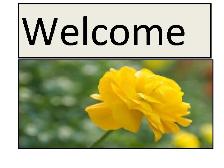 Welcome 