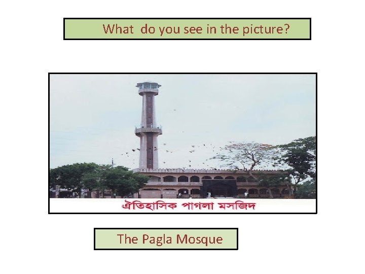 What do you see in the picture? The Pagla Mosque 