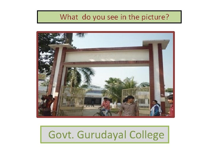 What do you see in the picture? Govt. Gurudayal College 