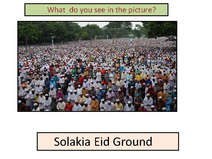 What do you see in the picture? Solakia Eid Ground 