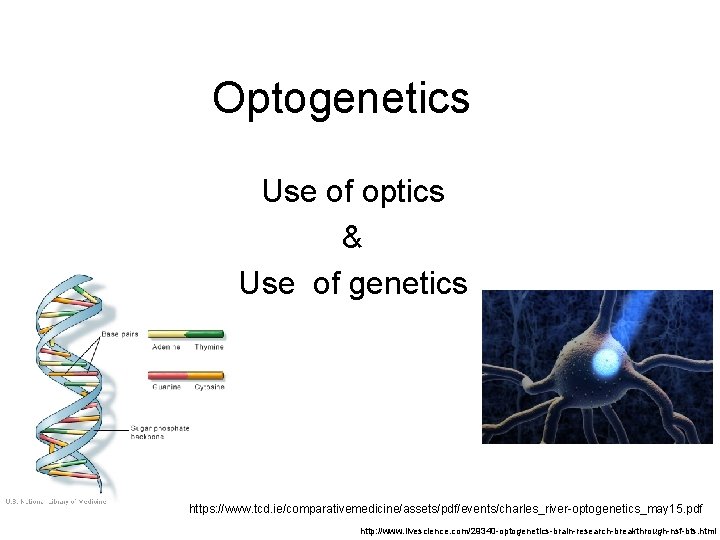 Optogenetics Use of optics & Use of genetics https: //www. tcd. ie/comparativemedicine/assets/pdf/events/charles_river-optogenetics_may 15. pdf