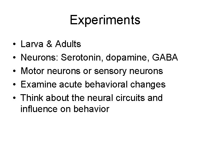 Experiments • • • Larva & Adults Neurons: Serotonin, dopamine, GABA Motor neurons or