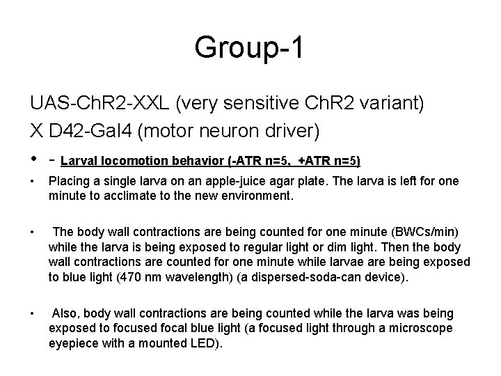 Group-1 UAS-Ch. R 2 -XXL (very sensitive Ch. R 2 variant) X D 42