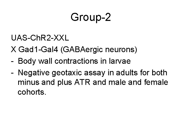 Group-2 UAS-Ch. R 2 -XXL X Gad 1 -Gal 4 (GABAergic neurons) - Body