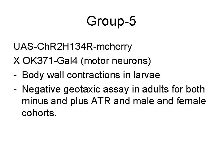 Group-5 UAS-Ch. R 2 H 134 R-mcherry X OK 371 -Gal 4 (motor neurons)