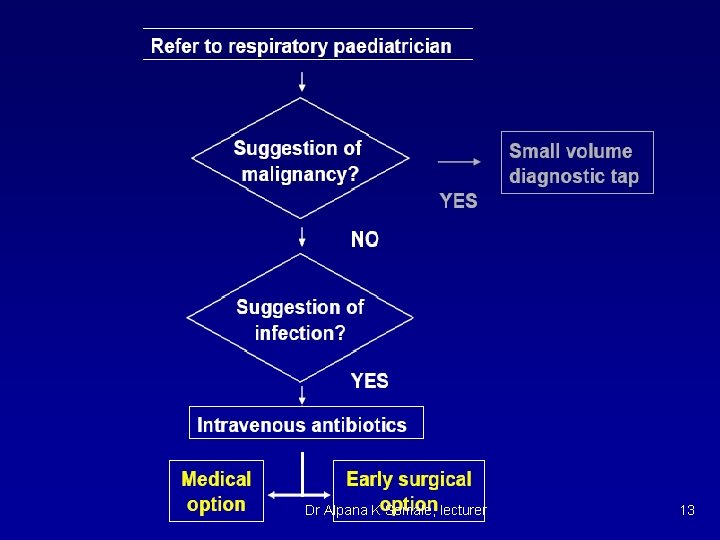 Dr Alpana K Somale, lecturer 13 