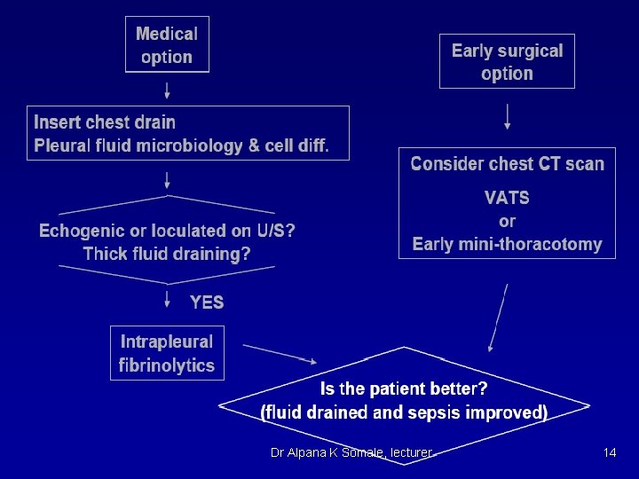 Dr Alpana K Somale, lecturer 14 