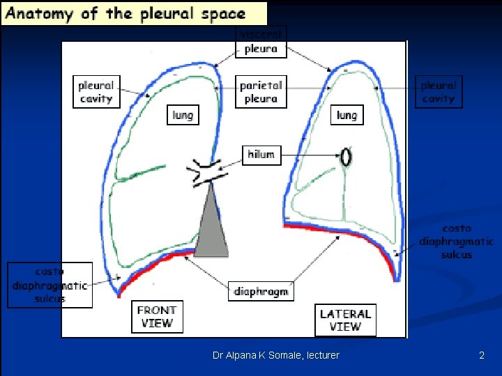Dr Alpana K Somale, lecturer 2 