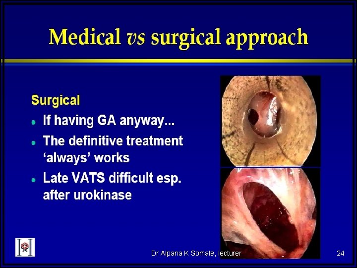 Dr Alpana K Somale, lecturer 24 