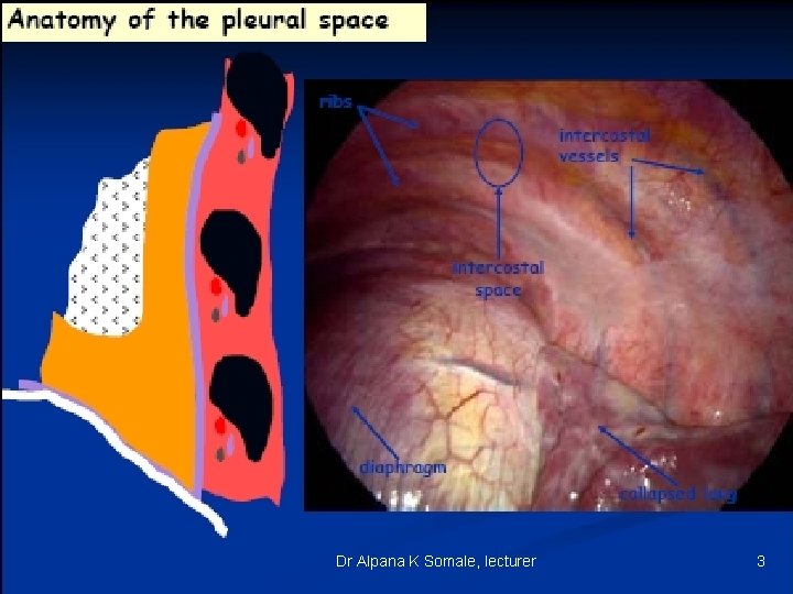 Dr Alpana K Somale, lecturer 3 