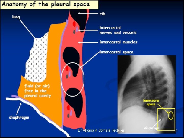 Dr Alpana K Somale, lecturer 4 