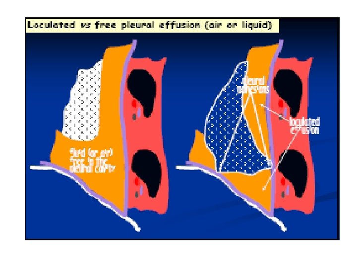 Dr Alpana K Somale, lecturer 5 