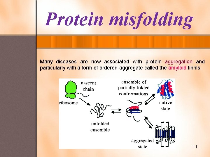 Protein misfolding Many diseases are now associated with protein aggregation and particularly with a