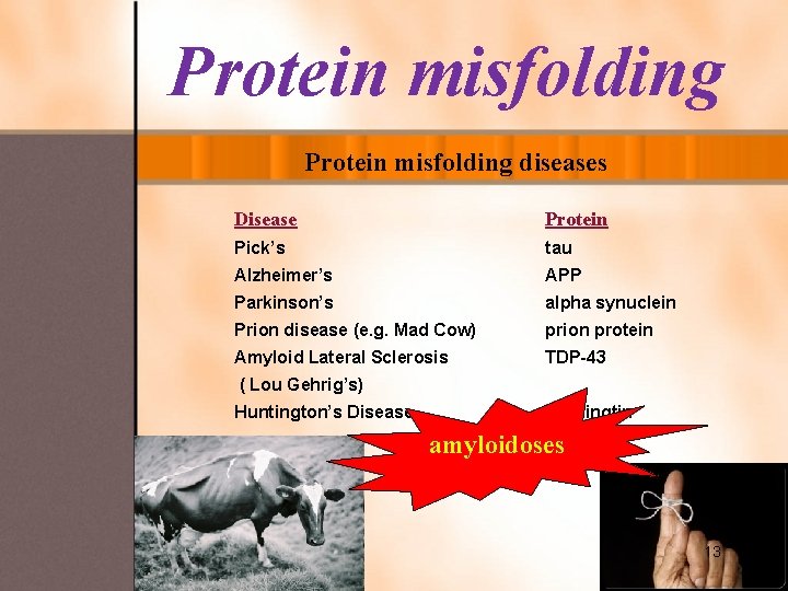 Protein misfolding diseases Disease Protein Pick’s tau Alzheimer’s APP Parkinson’s alpha synuclein Prion disease