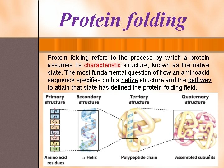 Protein folding refers to the process by which a protein assumes its characteristic structure,