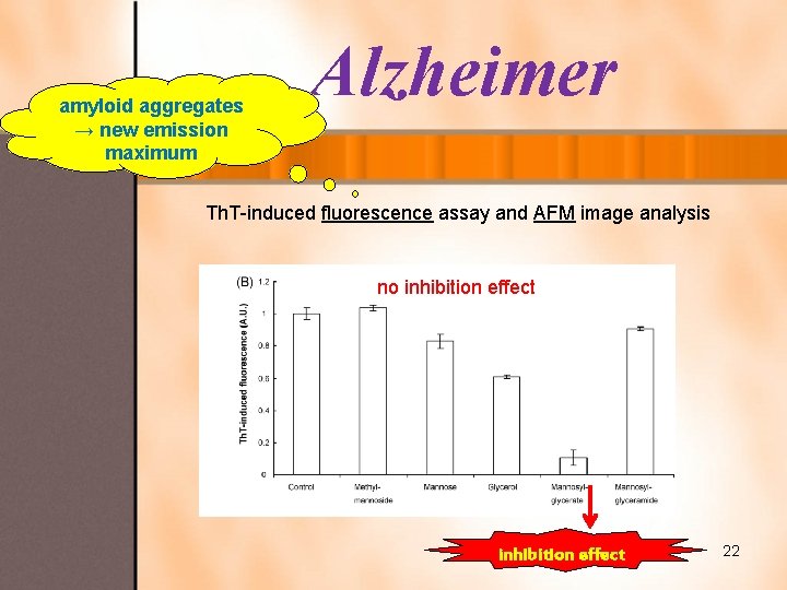 amyloid aggregates → new emission maximum Alzheimer Th. T-induced fluorescence assay and AFM image