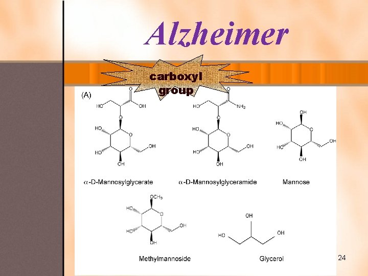 Alzheimer carboxyl group 24 