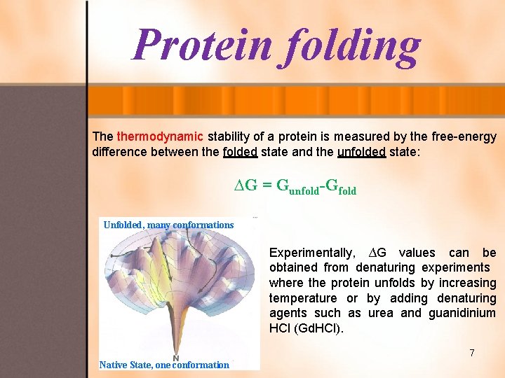Protein folding The thermodynamic stability of a protein is measured by the free-energy difference