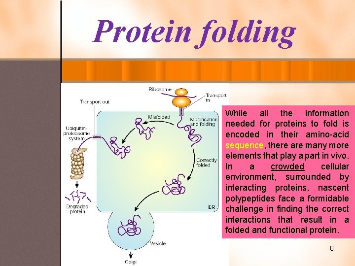 Protein folding While all the information needed for proteins to fold is encoded in