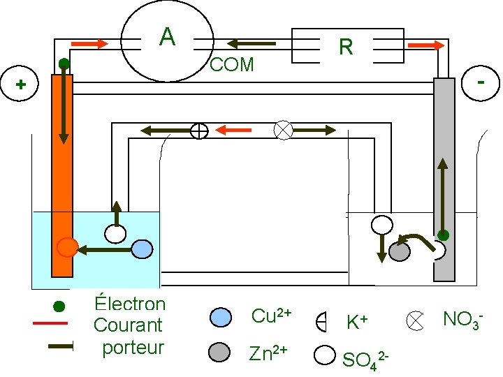 A COM + Électron Courant porteur R - Cu 2+ K+ Zn 2+ SO