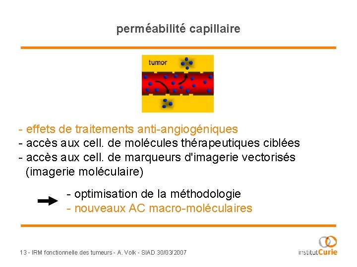 perméabilité capillaire - effets de traitements anti-angiogéniques - accès aux cell. de molécules thérapeutiques