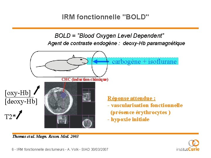 IRM fonctionnelle "BOLD" BOLD = "Blood Oxygen Level Dependent" Agent de contraste endogène :