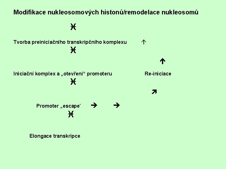Modifikace nukleosomových histonů/remodelace nukleosomů i Tvorba preiniciačního transkripčního komplexu á i é Iniciační komplex