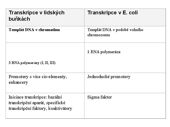 Transkripce v lidských buňkách Transkripce v E. coli Templát DNA v chromatinu Templát DNA