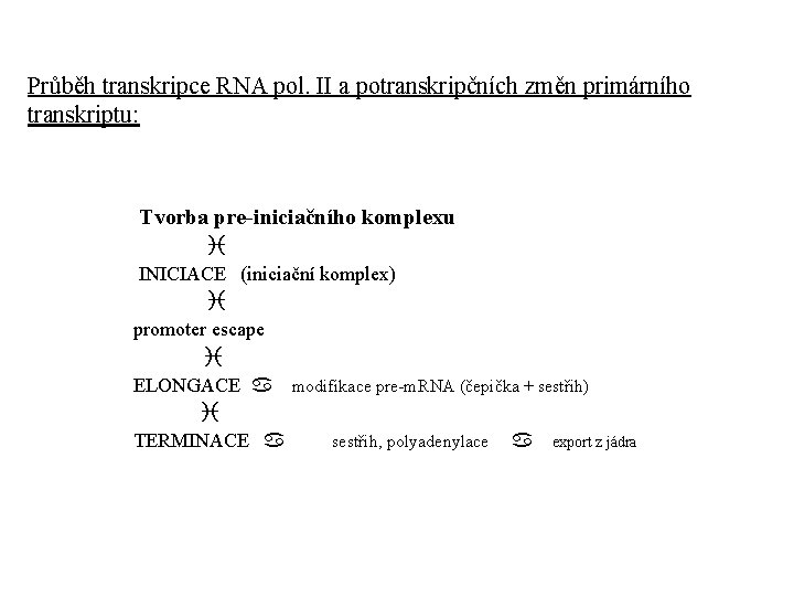 Průběh transkripce RNA pol. II a potranskripčních změn primárního transkriptu: Tvorba pre-iniciačního komplexu i