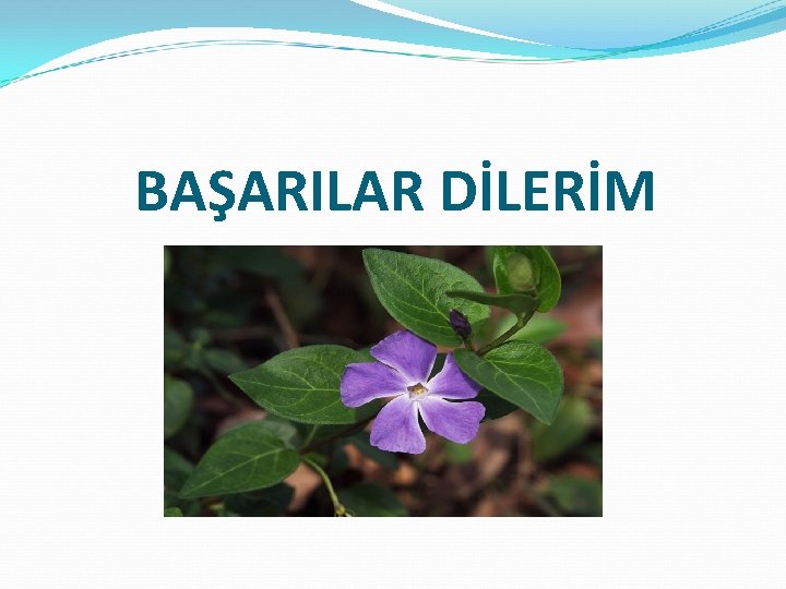 BAŞARILAR DİLERİM 