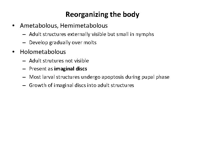 Reorganizing the body • Ametabolous, Hemimetabolous – Adult structures externally visible but small in Reorganizing the body • Ametabolous, Hemimetabolous – Adult structures externally visible but small in
