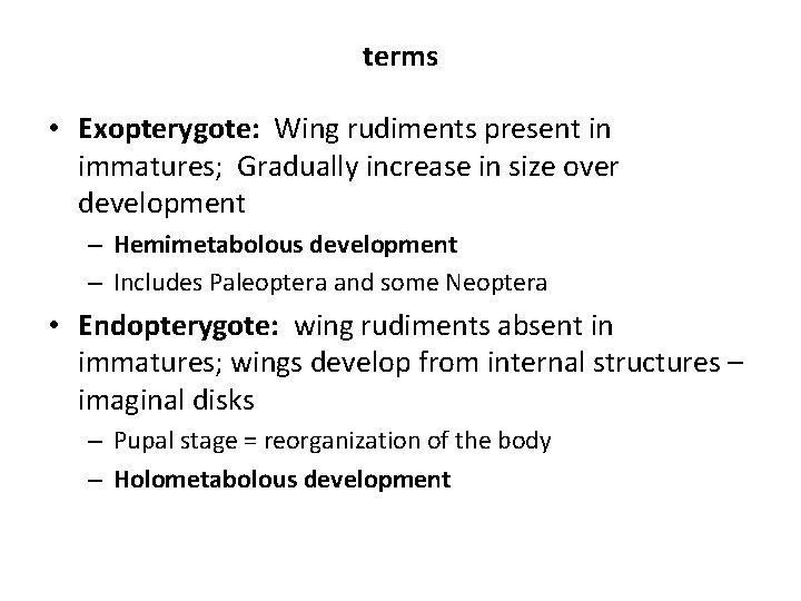 terms • Exopterygote: Wing rudiments present in immatures; Gradually increase in size over development terms • Exopterygote: Wing rudiments present in immatures; Gradually increase in size over development