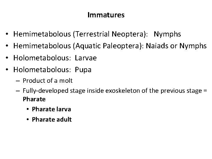 Immatures • • Hemimetabolous (Terrestrial Neoptera): Nymphs Hemimetabolous (Aquatic Paleoptera): Naiads or Nymphs Holometabolous: Immatures • • Hemimetabolous (Terrestrial Neoptera): Nymphs Hemimetabolous (Aquatic Paleoptera): Naiads or Nymphs Holometabolous: