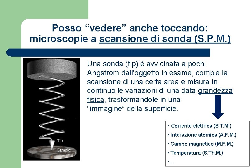 Posso vedere anche toccando microscopie a scansione di
