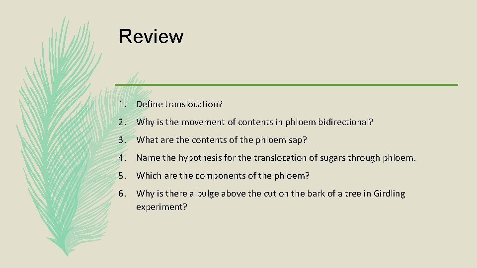 Review 1. Define translocation? 2. Why is the movement of contents in phloem bidirectional?