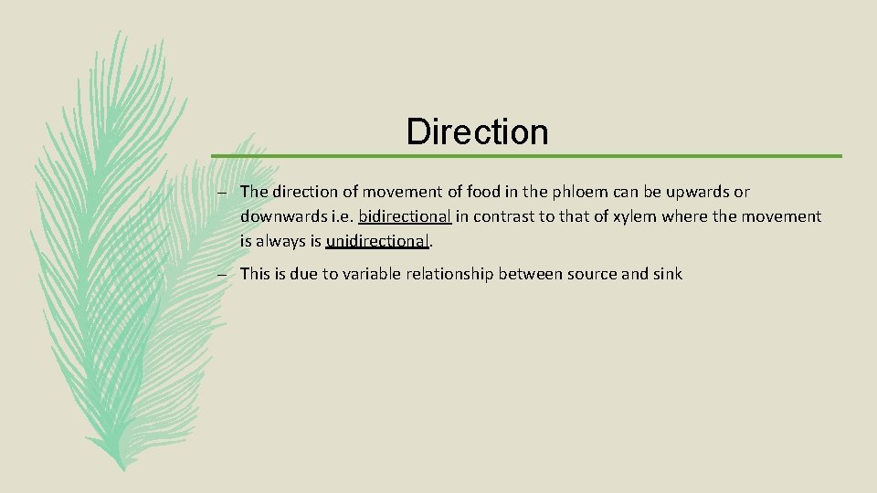 Direction – The direction of movement of food in the phloem can be upwards