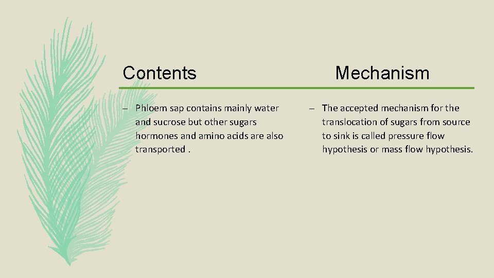 Contents – Phloem sap contains mainly water and sucrose but other sugars hormones and