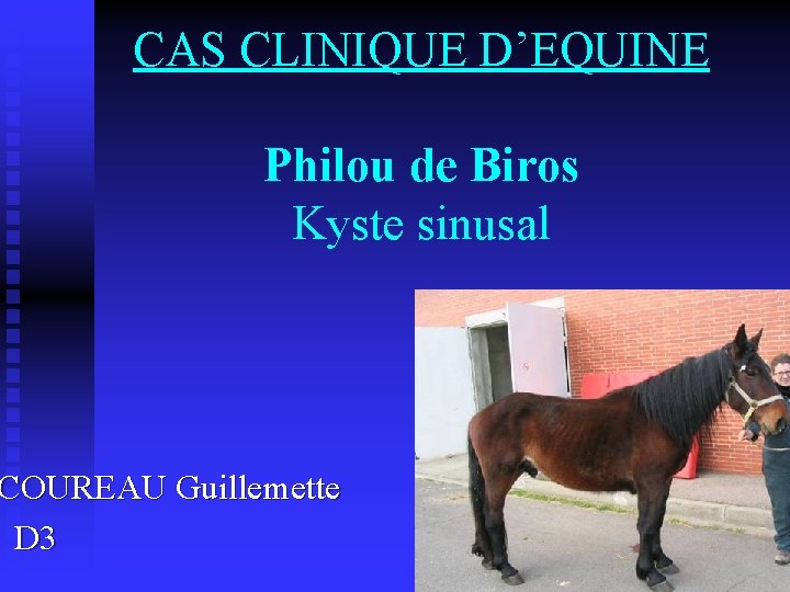 CAS CLINIQUE D’EQUINE Philou de Biros Kyste sinusal COUREAU Guillemette D 3 